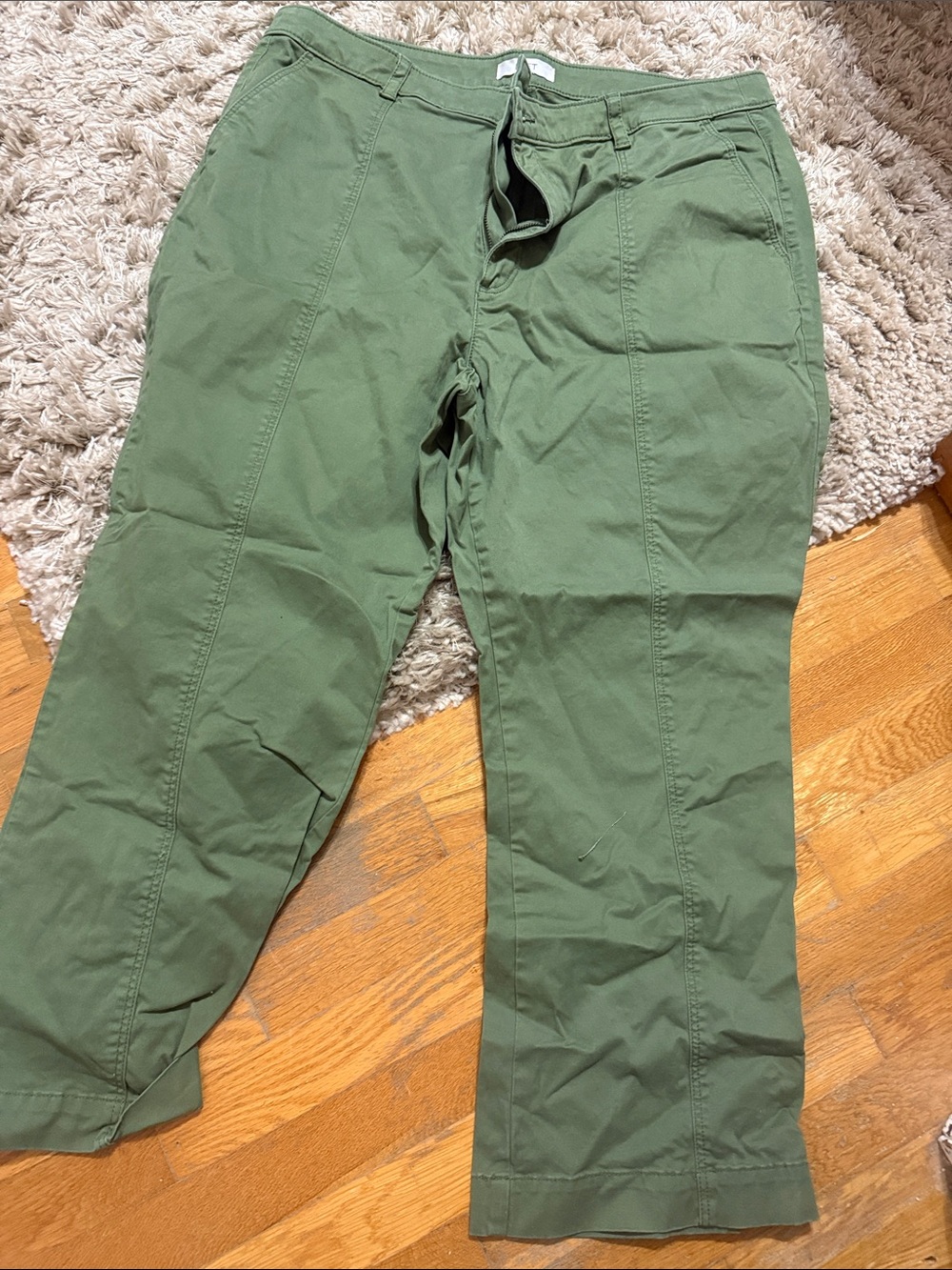 LOFT Olive Green Cargo style Pants